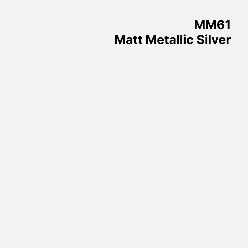 CWS Couleurs Met Coulé Matt Met. Silver Mat semi-permanent 5 ans