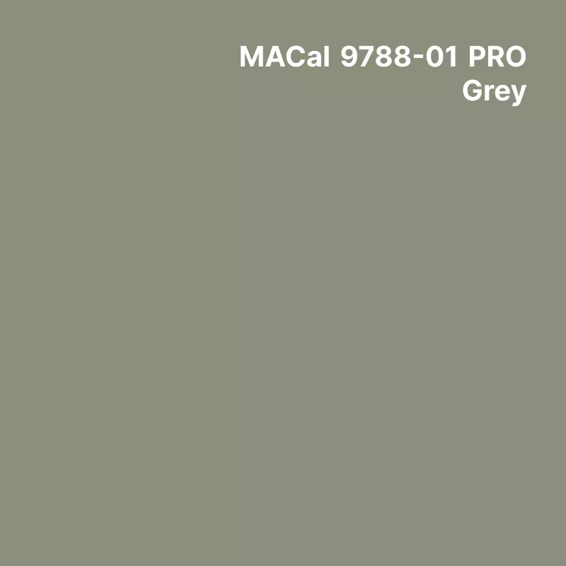 MC9700 couleurs Polymère grey Mat permanent 7 ans