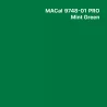 MC9700 couleurs Polymère mint green Mat permanent 7 ans