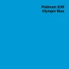 RIPLA-COLOR Polymère Olympic Blue Brillant permanent 7 ans