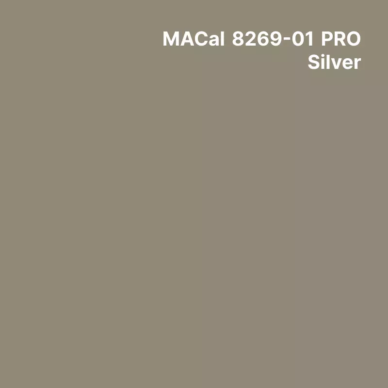 MC8200 couleurs m Monomère silver Brillant permanent 3 ans