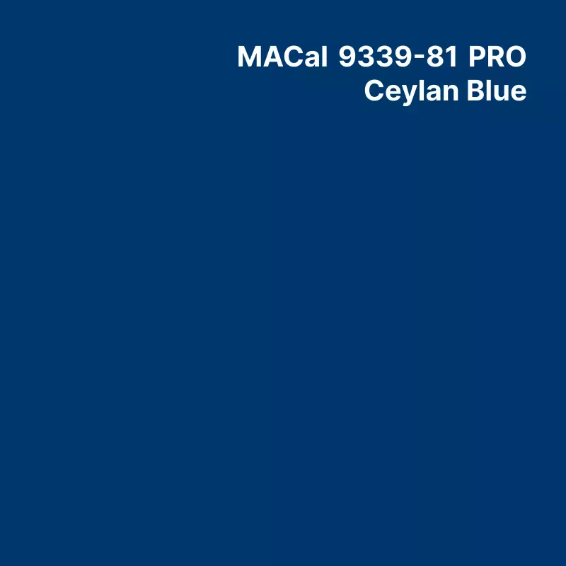 MC9300 Couleurs Polymère Ceylan Blue Brillant permanent 7 ans