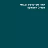 MC9300 Couleurs Polymère spinach green Brillant permanent 7 ans