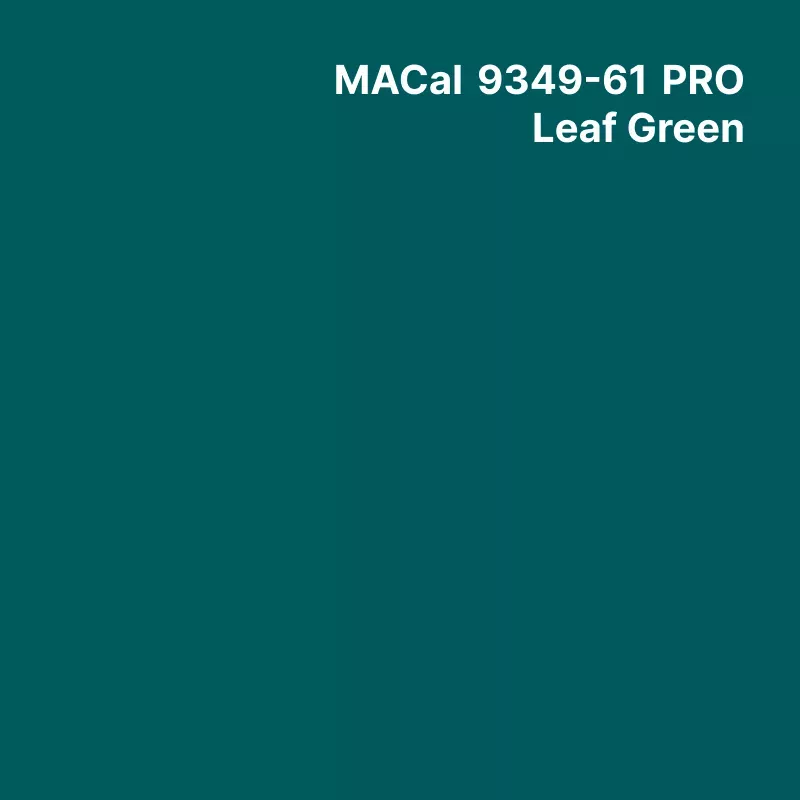 MC9300 Couleurs Polymère leaf green Brillant permanent 7 ans