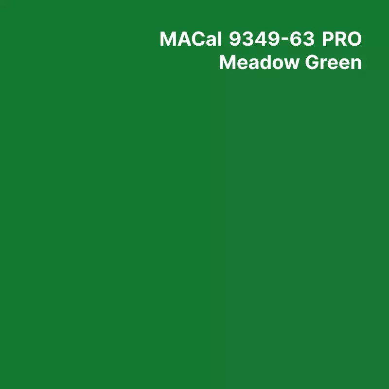 MC9300 Couleurs Polymère Meadow Green Brillant permanent 7 ans