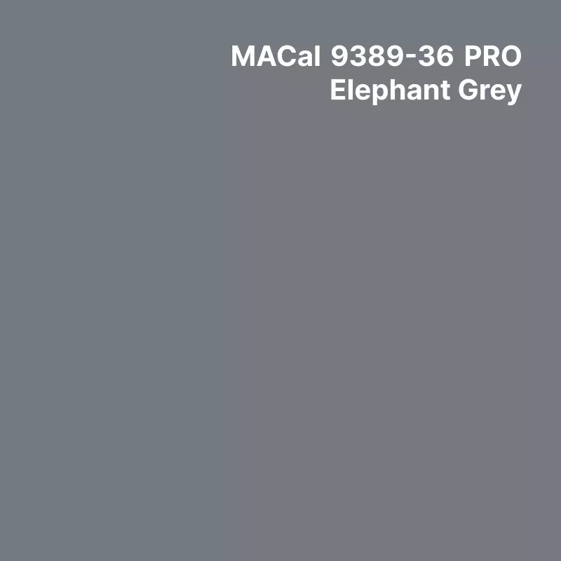 MC9300 Couleurs Polymère Elephant Grey Brillant permanent 7 ans