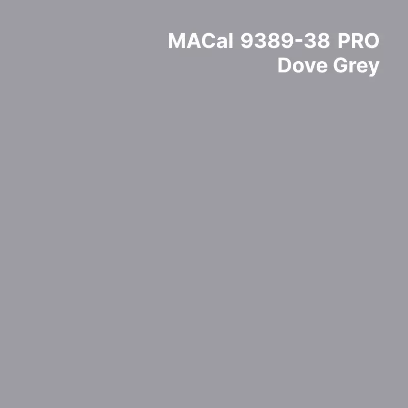 MC9300 Couleurs Polymère Dove Grey Brillant permanent 7 ans