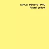 MC9800 couleurs Polymère pastel yellow Brillant permanent 7 ans
