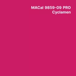 MC9800 couleurs Polymère Cyclamen PRO Brillant permanent 7 ans