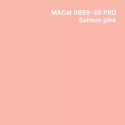 MC9800 couleurs Polymère salmon pink Brillant permanent 7 ans