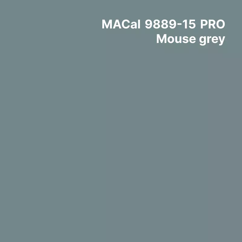 MC9800 couleurs Polymère Mouse Grey Brillant permanent 7 ans