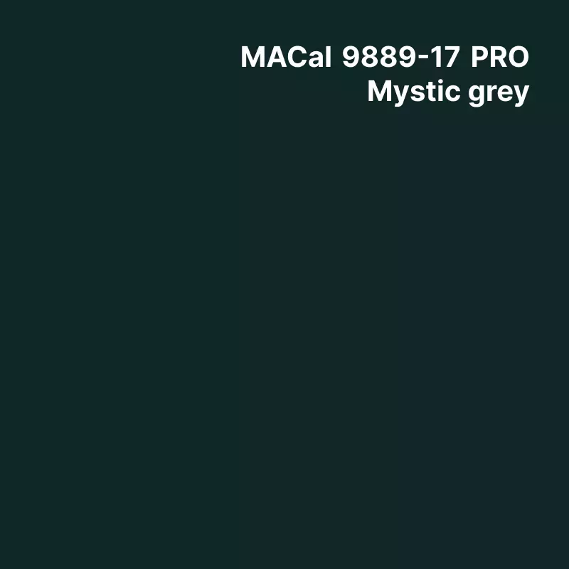 MC9800 BF Couleur Polymère Mystic Grey Brillant permanent 7 ans