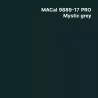 MC9800 BF Couleur Polymère Mystic Grey Brillant permanent 7 ans