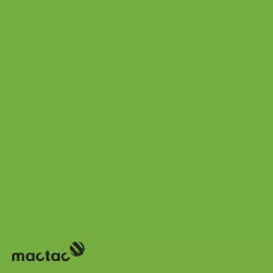 MC TRUCK Polymère Green Matt Mat permanent 5 ans