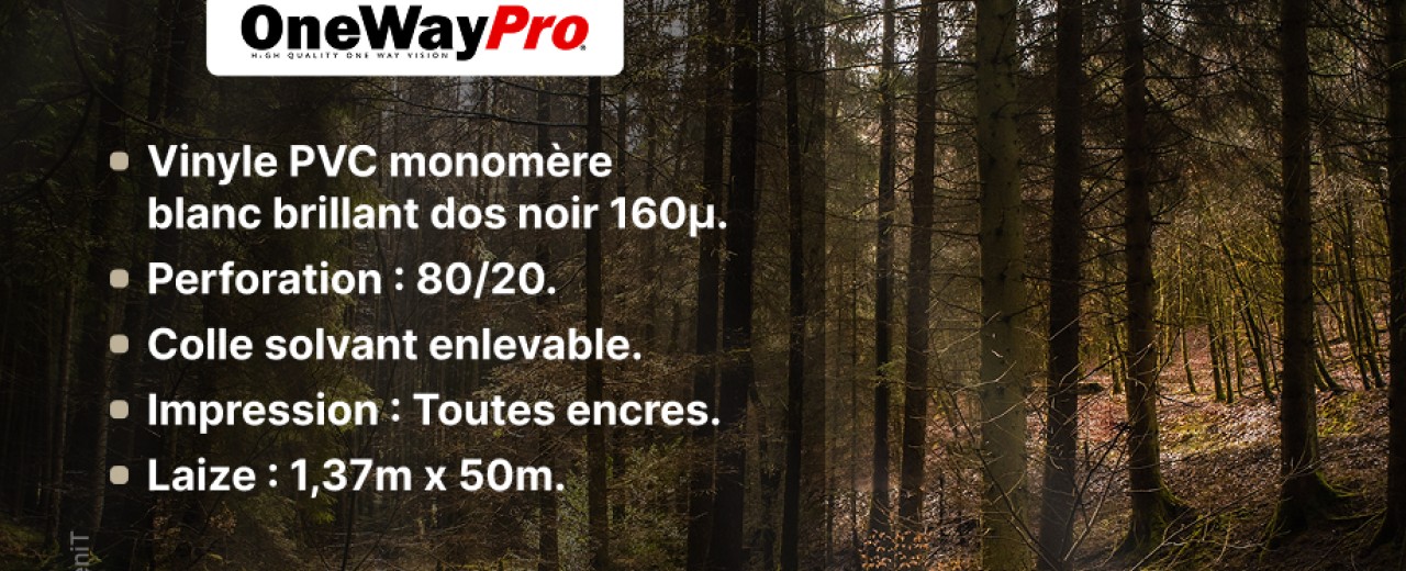 Nouveauté 2025 : V-OWP-RHODIUM