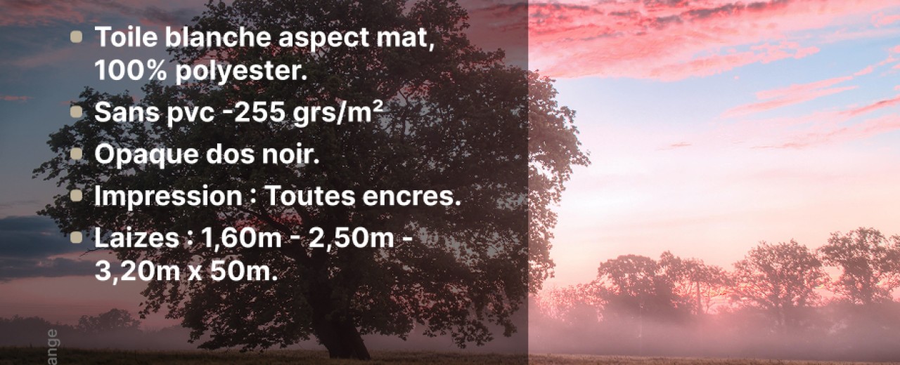 NOUVEAUTÉ 2025 : TEXBBACK-M1 